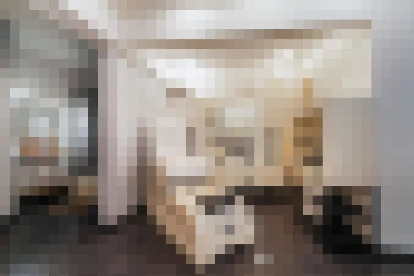 Massenetlaan 1 Tilburg thumbnail 35