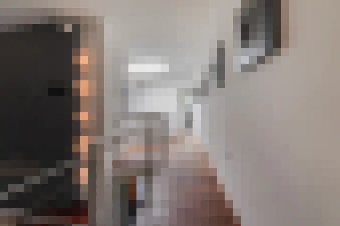 Massenetlaan 1 Tilburg thumbnail 40