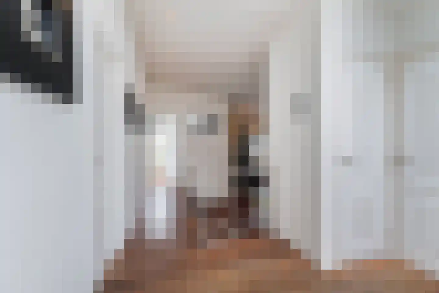 Massenetlaan 1 Tilburg thumbnail 42