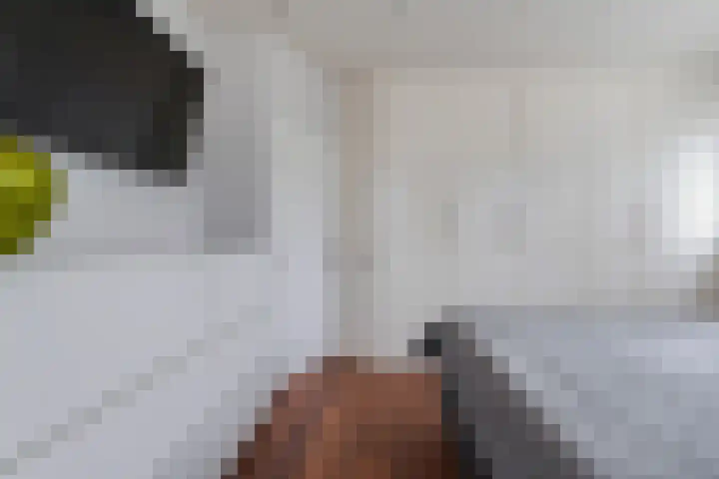 Massenetlaan 1 Tilburg thumbnail 46