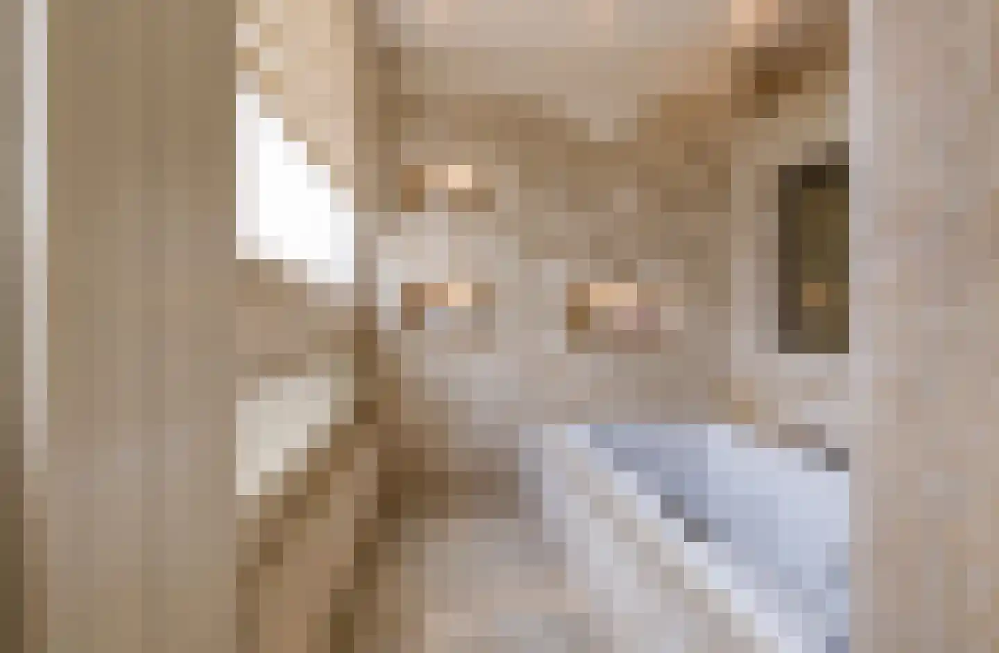 Massenetlaan 1 Tilburg thumbnail 56