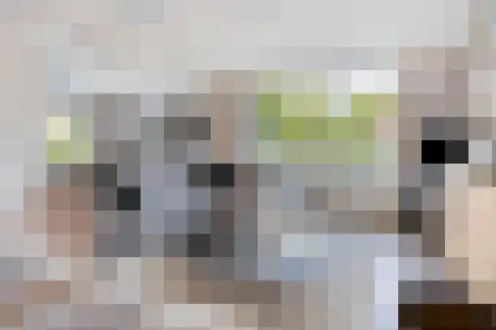 Massenetlaan 26 Tilburg thumbnail 11
