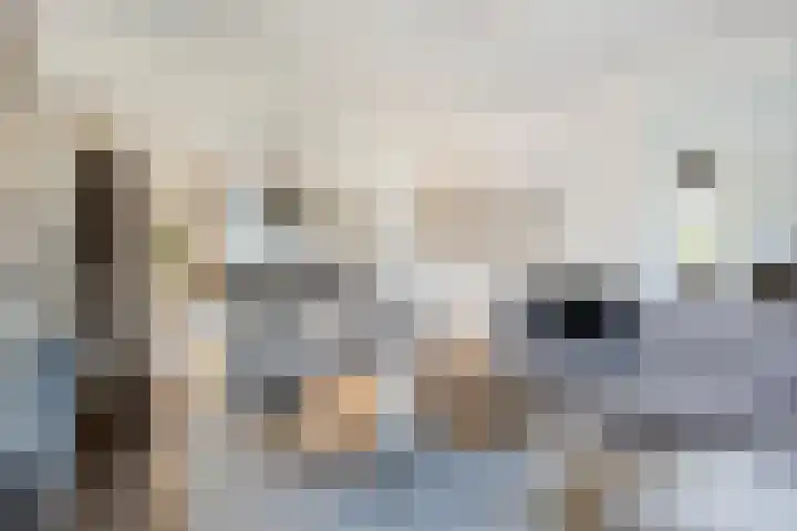 Massenetlaan 26 Tilburg thumbnail 12