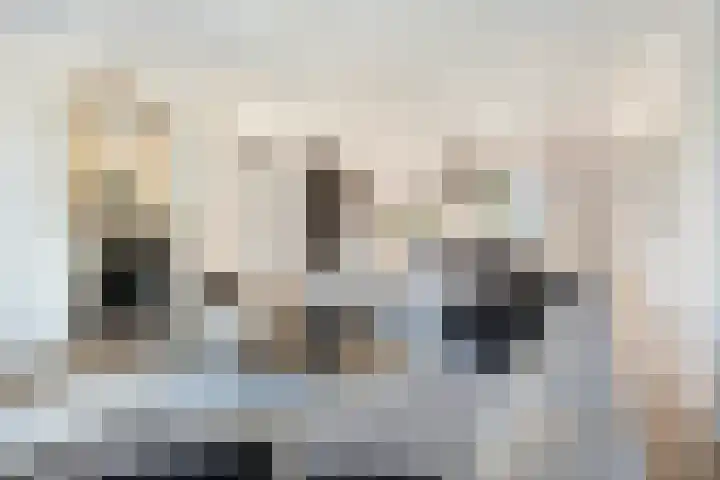 Massenetlaan 26 Tilburg thumbnail 13