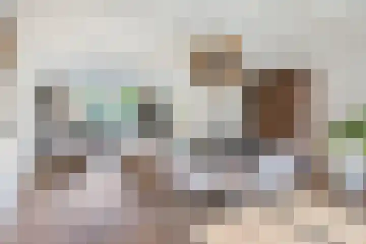 Massenetlaan 26 Tilburg thumbnail 18