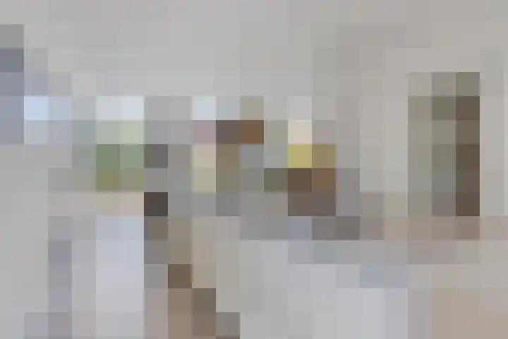Massenetlaan 26 Tilburg thumbnail 20