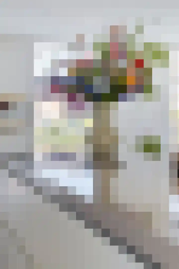 Massenetlaan 26 Tilburg thumbnail 21