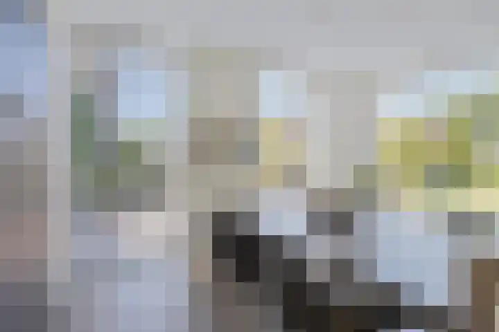 Massenetlaan 26 Tilburg thumbnail 25