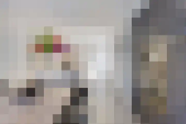 Massenetlaan 26 Tilburg thumbnail 26