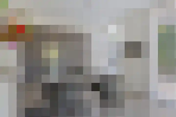 Massenetlaan 26 Tilburg thumbnail 27