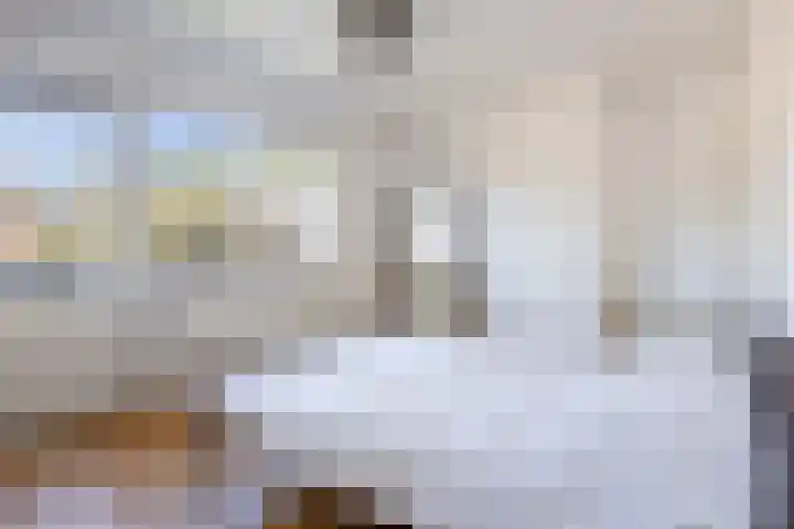 Massenetlaan 26 Tilburg thumbnail 38