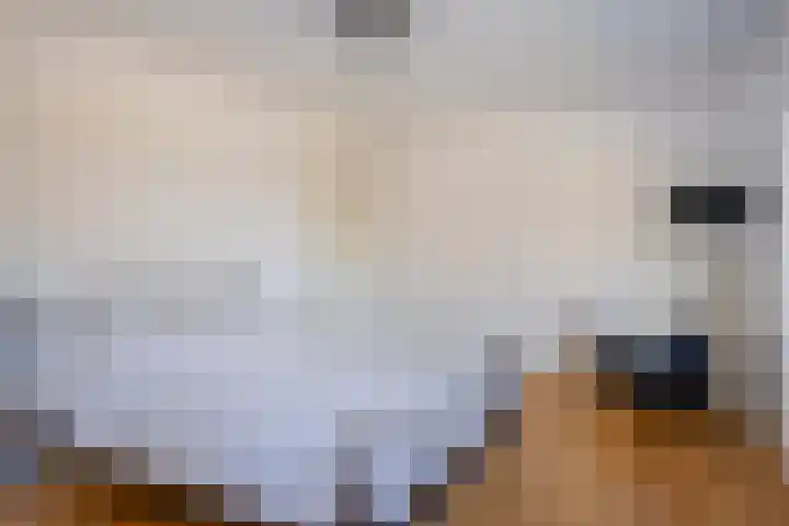 Massenetlaan 26 Tilburg thumbnail 39