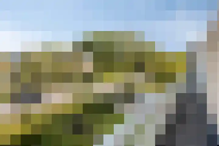Massenetlaan 26 Tilburg thumbnail 40