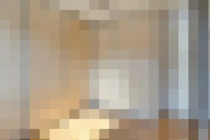 Massenetlaan 26 Tilburg thumbnail 48