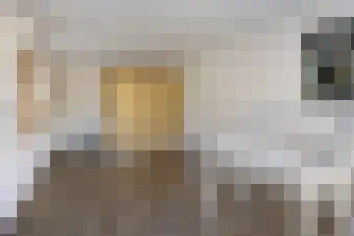 Massenetlaan 26 Tilburg thumbnail 66