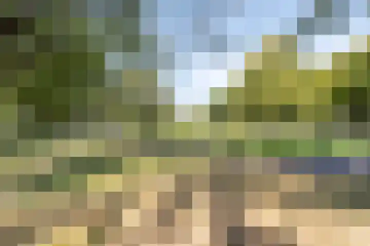 Massenetlaan 26 Tilburg thumbnail 75