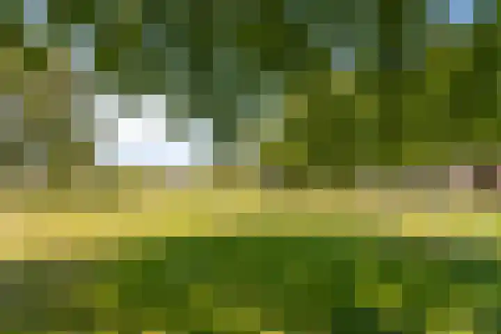 Massenetlaan 26 Tilburg thumbnail 76