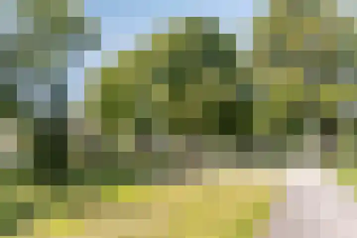 Massenetlaan 26 Tilburg thumbnail 77