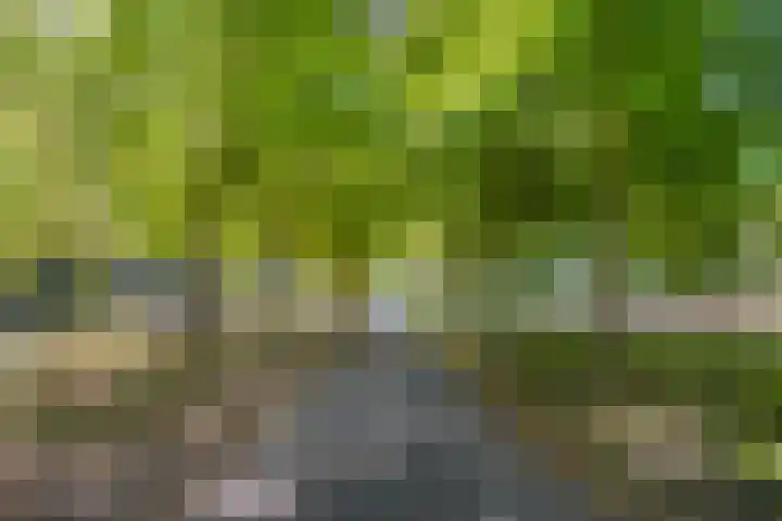 Massenetlaan 26 Tilburg thumbnail 78