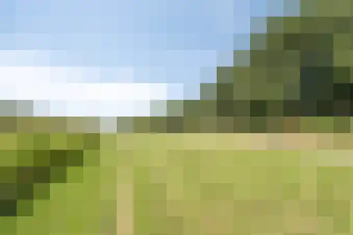 Massenetlaan 26 Tilburg thumbnail 79