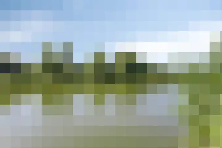 Massenetlaan 26 Tilburg thumbnail 80