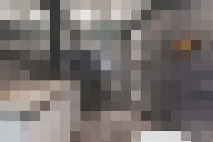 Massenetlaan 8 Tilburg thumbnail 23