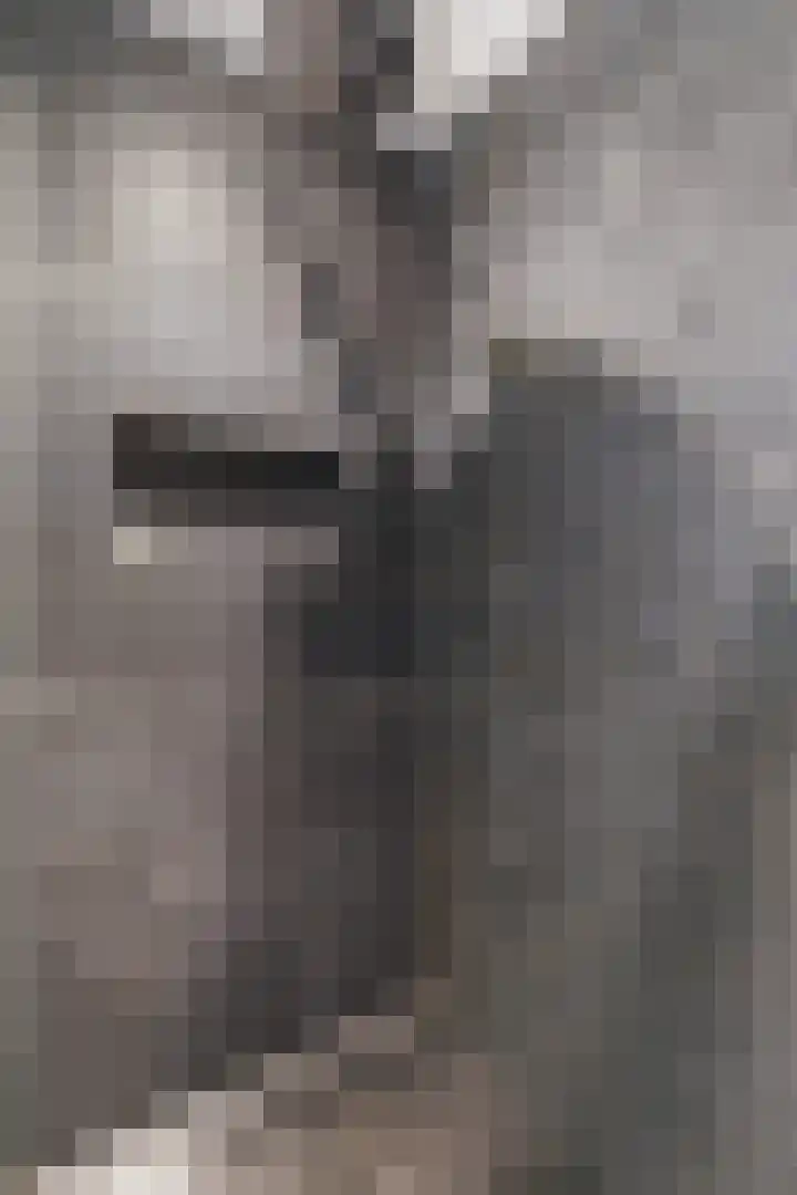 Massenetlaan 8 Tilburg thumbnail 25