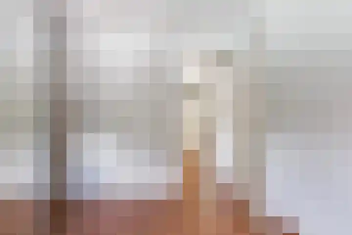 Massenetlaan 8 Tilburg thumbnail 32