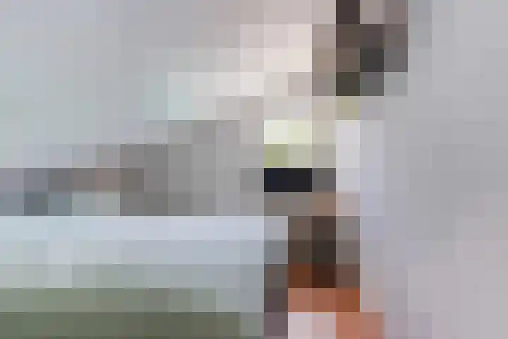 Massenetlaan 8 Tilburg thumbnail 34