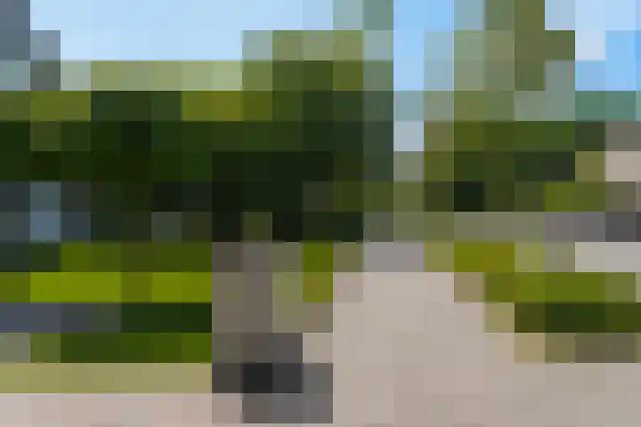 Massenetlaan 8 Tilburg thumbnail 52