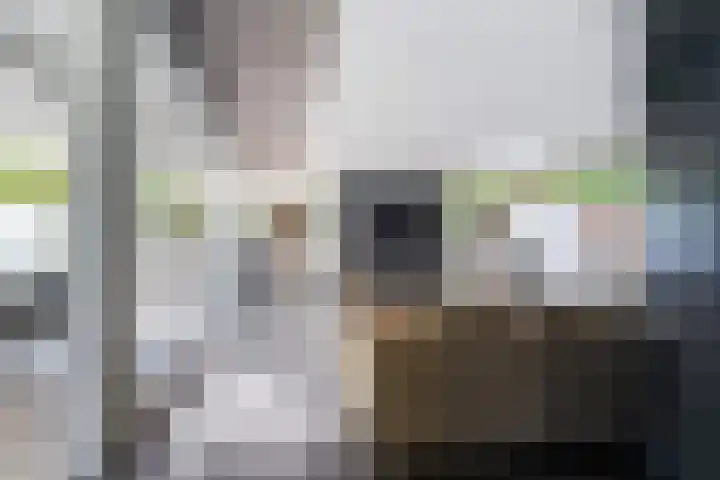 Massenetlaan 8 Tilburg thumbnail 7