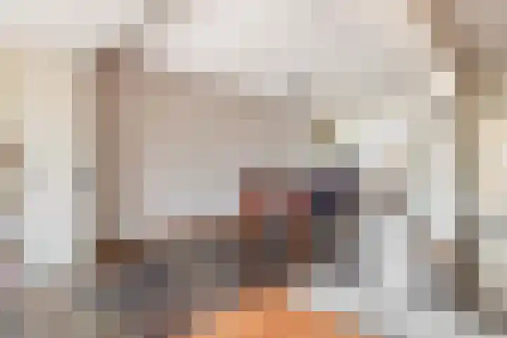Massenetstraat 18 Waalwijk thumbnail 13