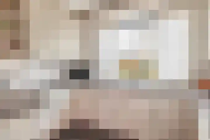 Massenetstraat 18 Waalwijk thumbnail 17