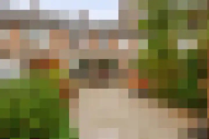 Massenetstraat 18 Waalwijk thumbnail 20