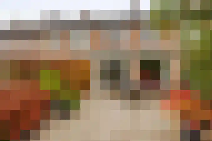 Massenetstraat 18 Waalwijk thumbnail 21