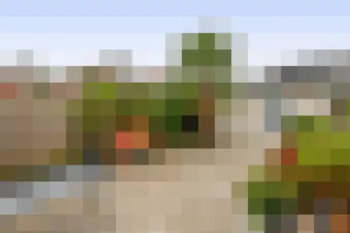 Massenetstraat 18 Waalwijk thumbnail 22