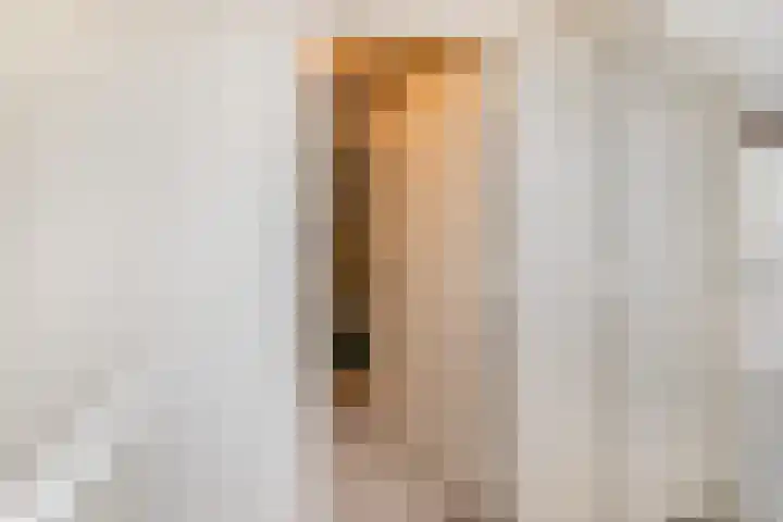 Massenetstraat 18 Waalwijk thumbnail 32