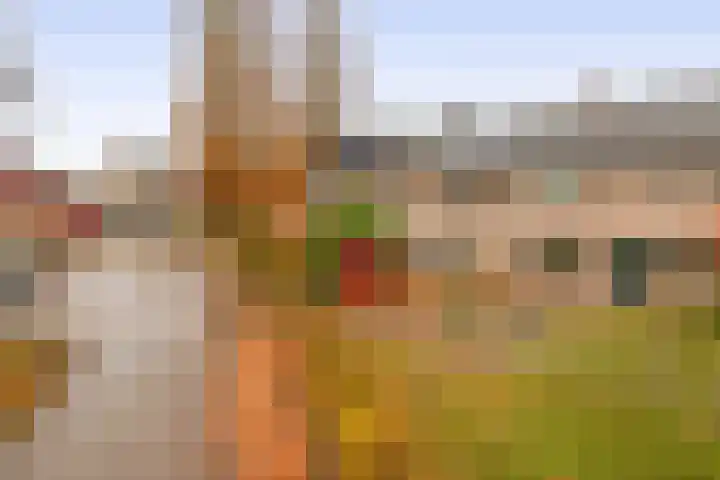 Massenetstraat 18 Waalwijk thumbnail 4