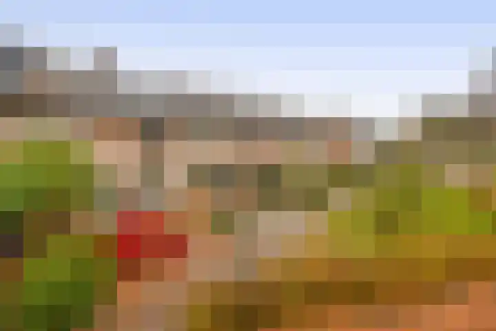 Massenetstraat 18 Waalwijk thumbnail 5