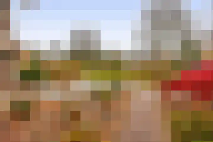 Massenetstraat 18 Waalwijk thumbnail 6