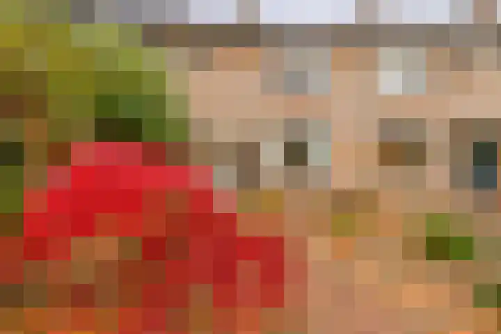 Massenetstraat 18 Waalwijk thumbnail 7