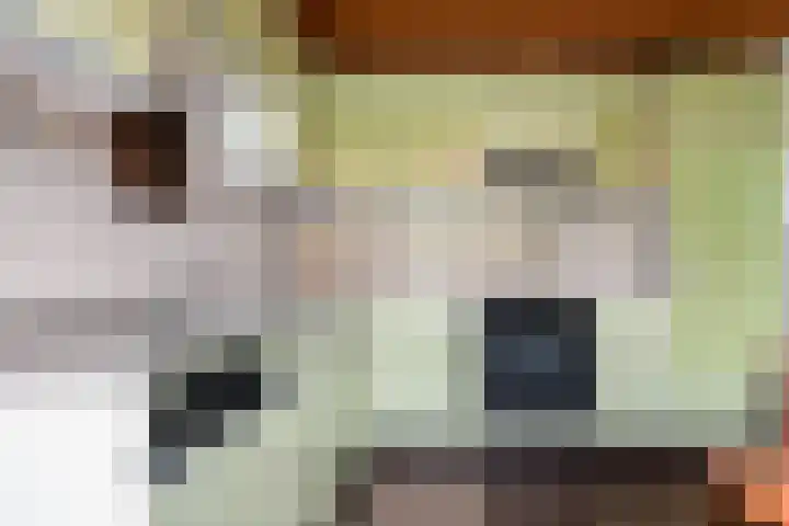 Massenetstraat 2 Alkmaar thumbnail 20