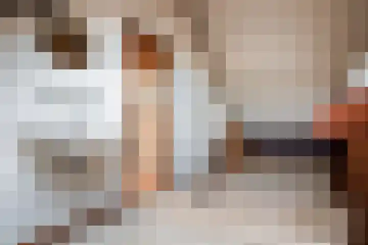 Massenetstraat 2 Alkmaar thumbnail 42