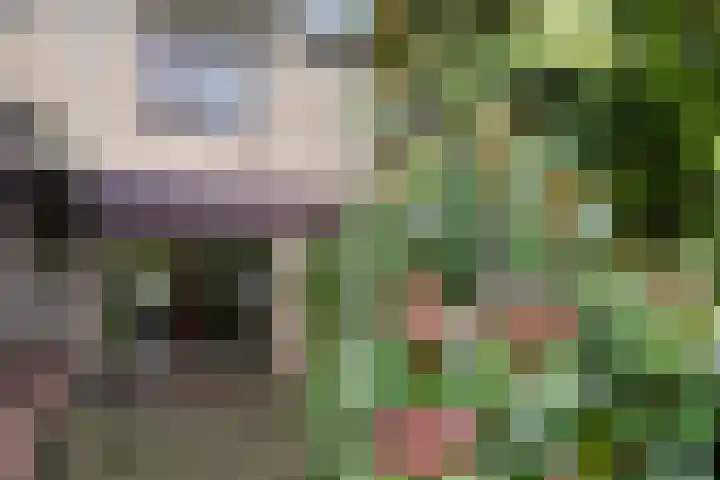 Massenetstraat 2 Alkmaar thumbnail 47