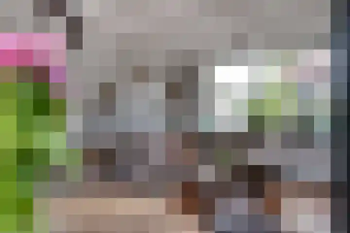 Massenweg 12 Rheden thumbnail 13