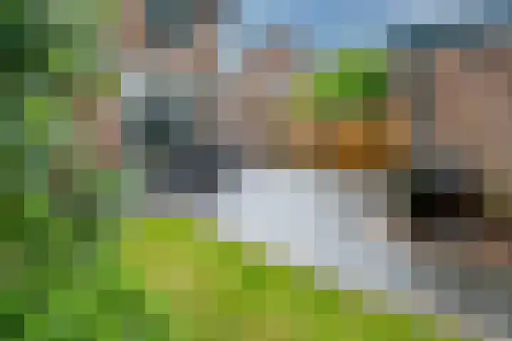 Massenweg 12 Rheden thumbnail 24