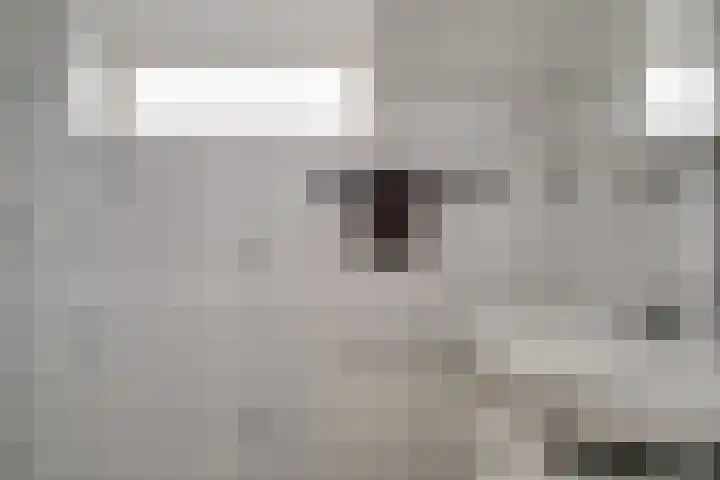 Massenweg 12 Rheden thumbnail 38