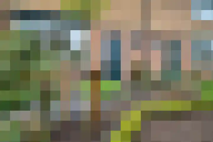 Massenweg 12 Rheden thumbnail 8