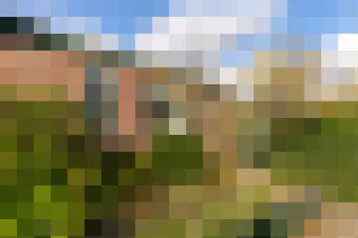 Massenweg 35 Rheden thumbnail 4