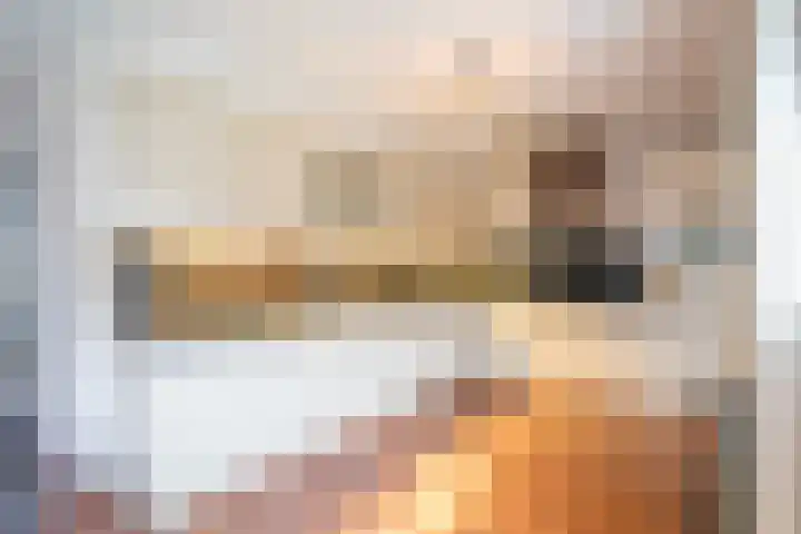 Mast 3 Vollenhove thumbnail 12